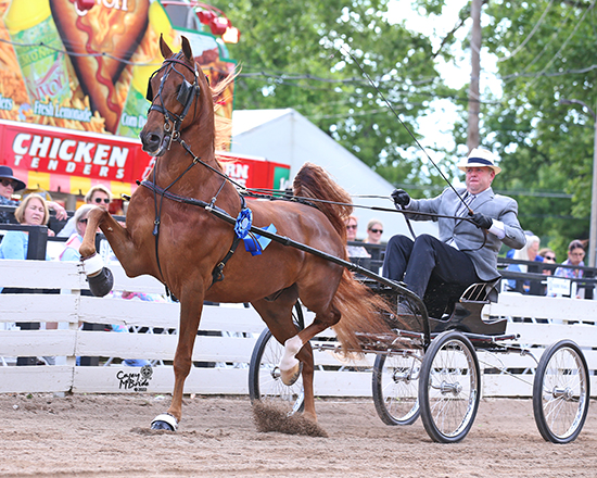 Rock Creek Horse Show Logo